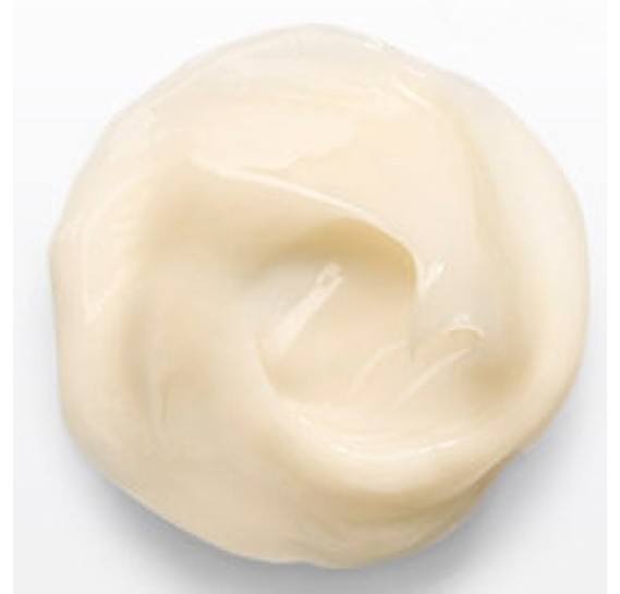 Омолоджувальний крем проти зморшок з муцином равлика The Saem Snail Essential EX Wrinkle Solution Cream THE SAEM 60 мл